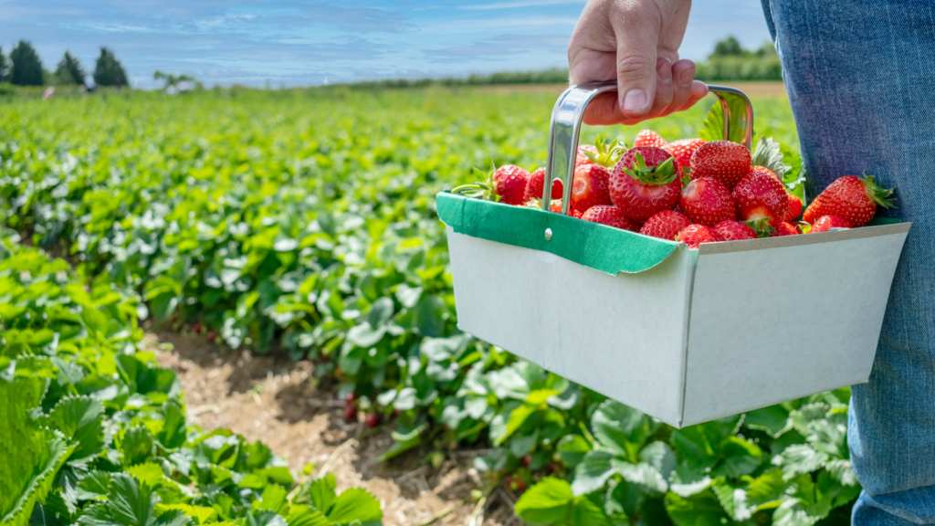 Inheritance Tax Reforms: Urgent Planning Required for Landowners and Business Owners