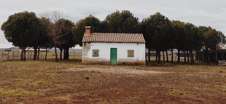 Inheritance Tax and Capital Gains Tax Planning for Farmers