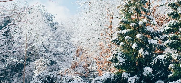 Financial Focus – Winter 2015 – Financial Planning: get ready for 2016