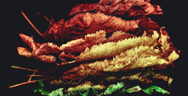 Summary of Autumn Statement 2016