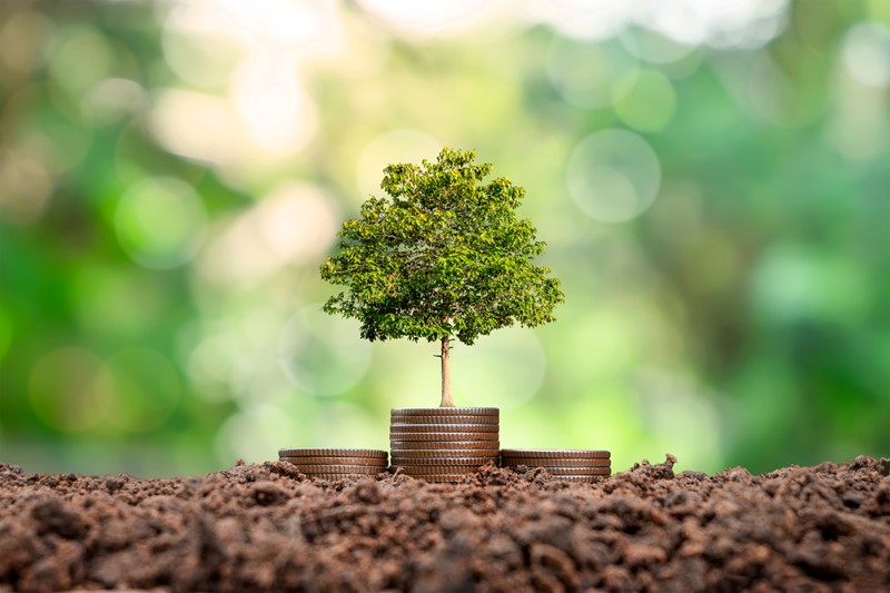 Increase in National Living Wage