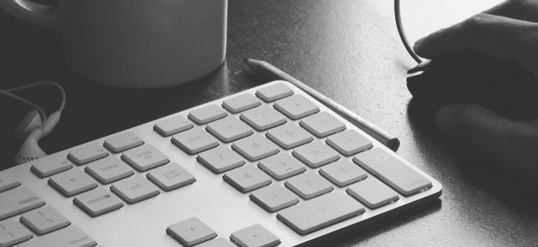 Director’s conduct – Fraud investigation